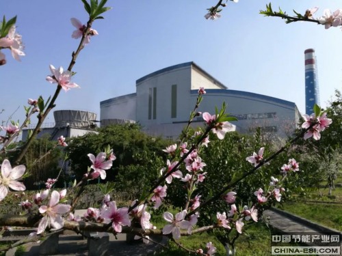 �������糧,�������շ���,���廷��