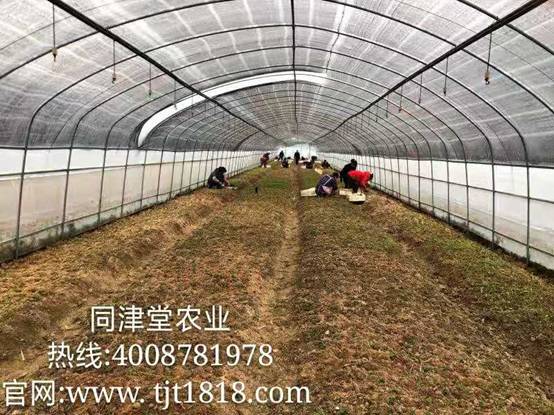 04a21b7f3f8ff6364279e09656da7ff