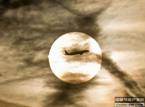 �������ŷ��ǿ�����պ��ա�̼˰���ĵ�����Ϊ